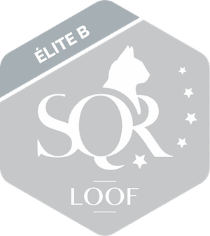 SQR : Elite B